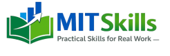 mit skills (1)